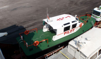 
									14M PILOT BOAT full								