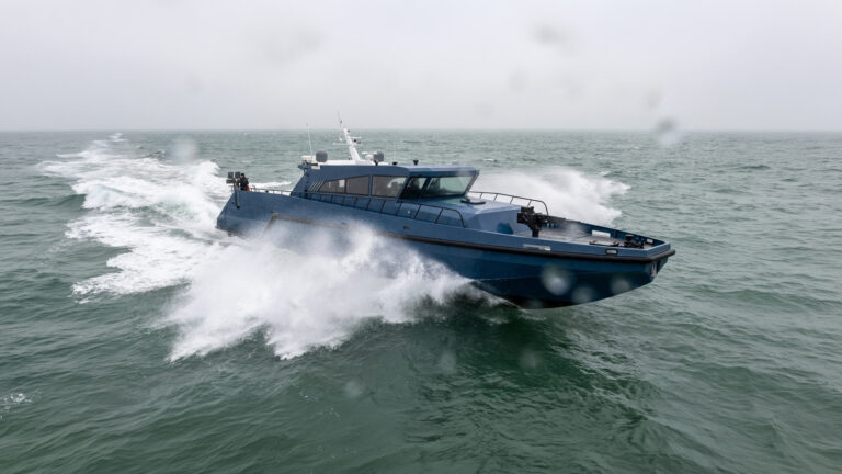 seaviper 23